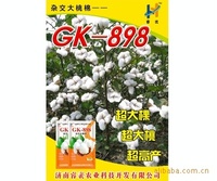 GK-898杂交大桃棉